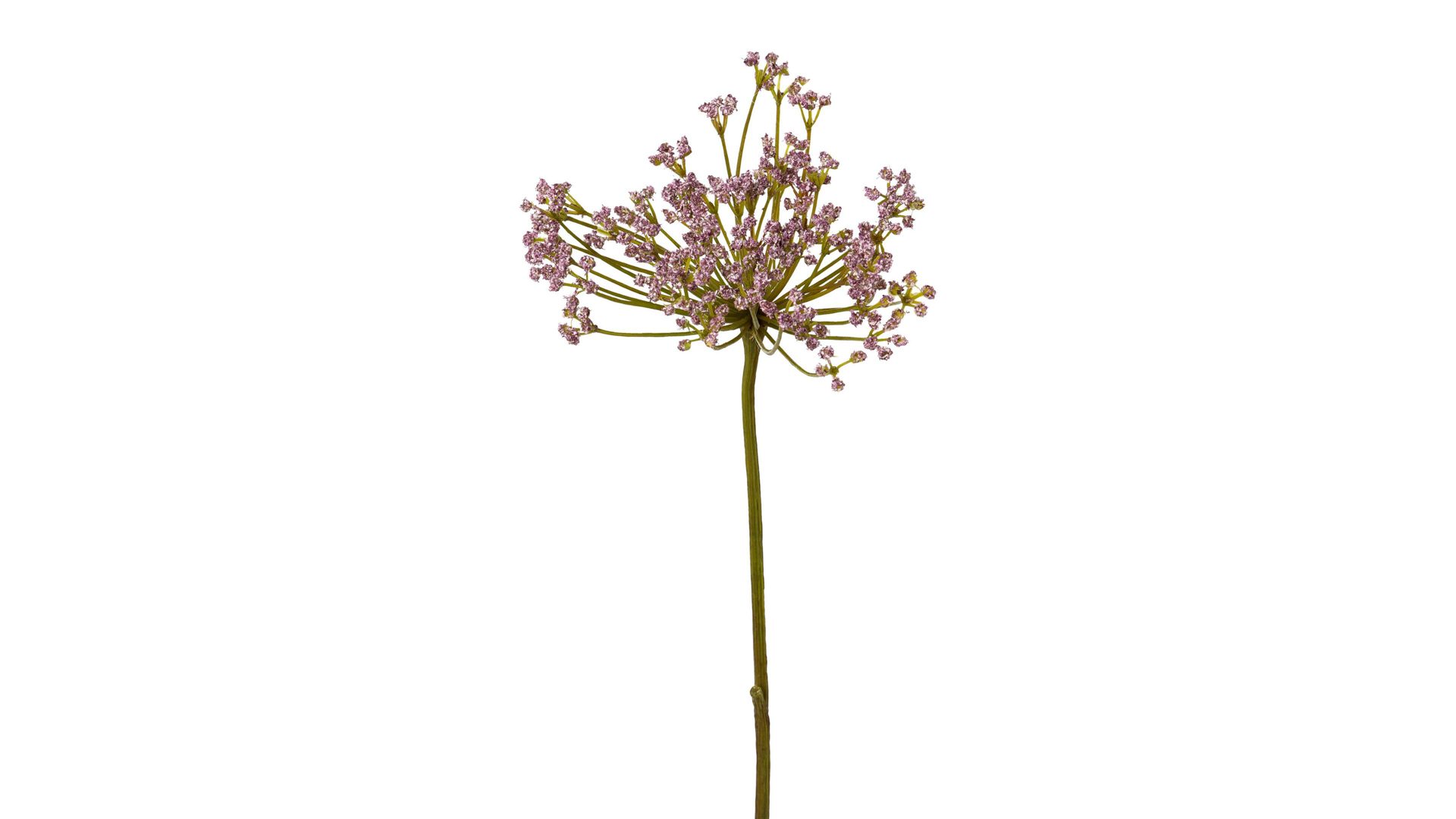 Blume Gasper aus Kunststoff in Lila Anethum künstliche lavendelfarbene Dillpflanze – Höhe ca. 72 cm