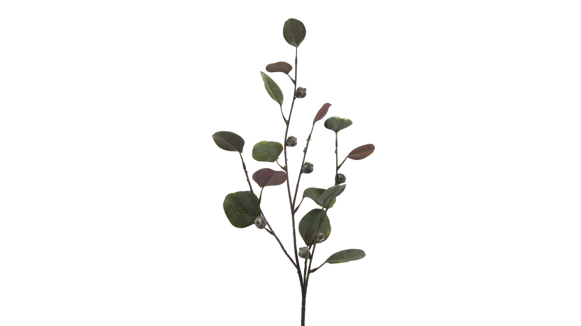 Blume Gasper aus Kunststoff in Grün Eukalyptuszweig grüner Kunststoff – Höhe ca. 73 cm