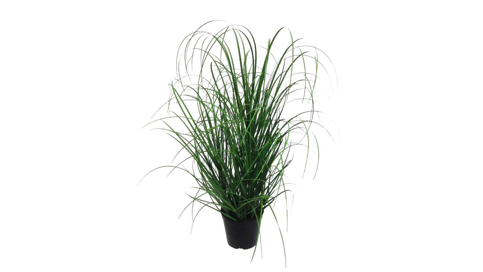 Pflanze Gasper aus Kunststoff in Grün Grasbusch künstliche Graspflanze - Höhe ca. 75 cm